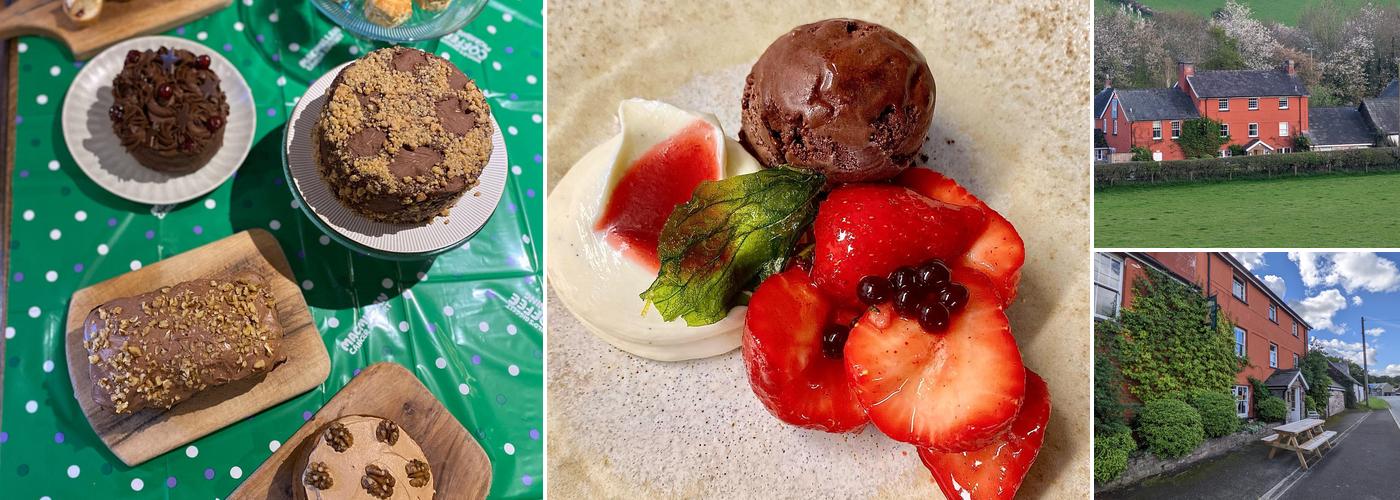 The Felin Fach Griffin