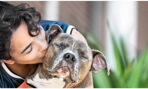 Banfield Pet Hospital Silver Spring