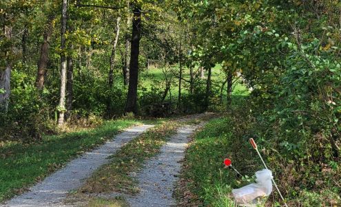 United States Postal Service