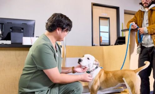 Banfield Pet Hospital