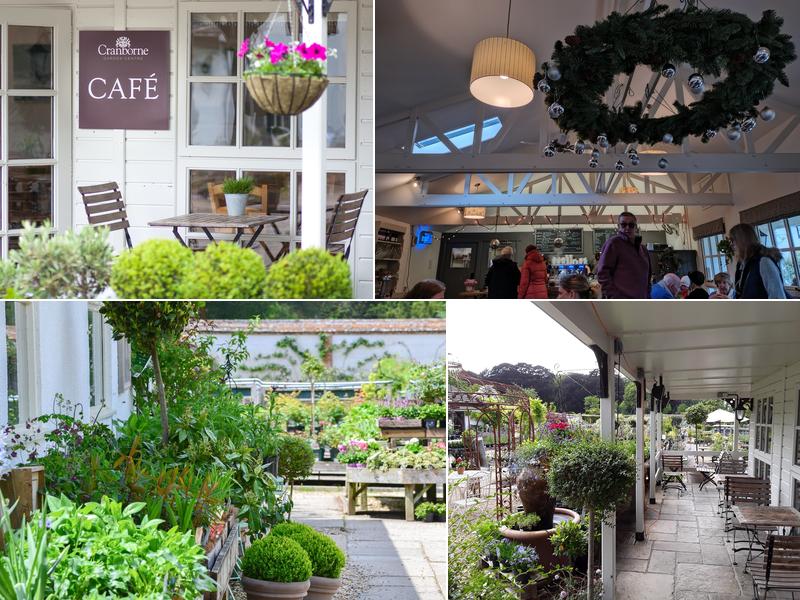 Cranborne Garden Centre