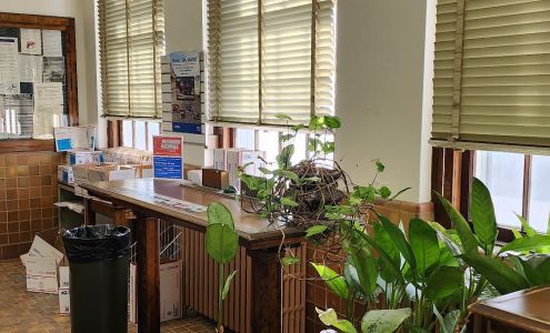 United States Postal Service