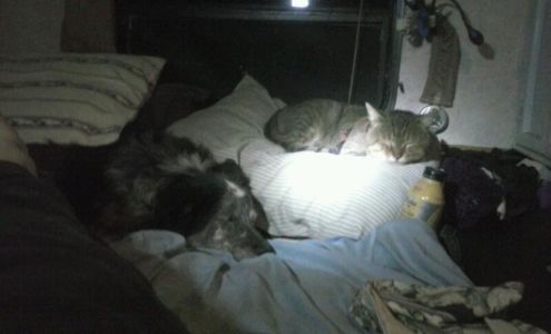 United States Postal Service Veguita