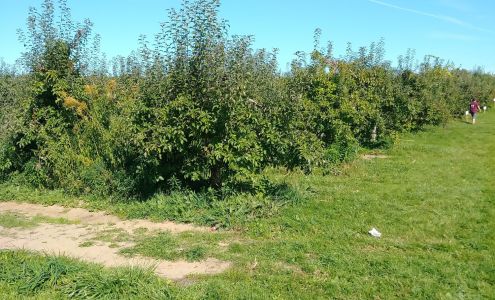 De Voe's Rainbow Orchard