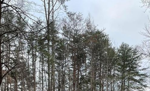 United States Postal Service