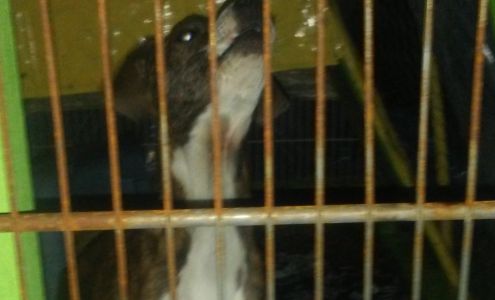 United States Postal Service