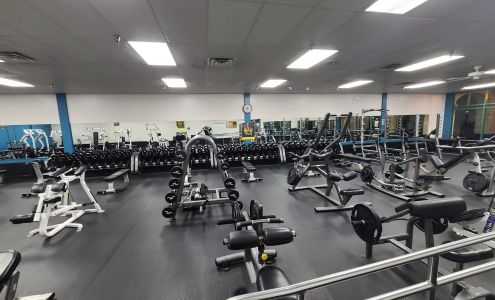 Gold's Gym Tampa