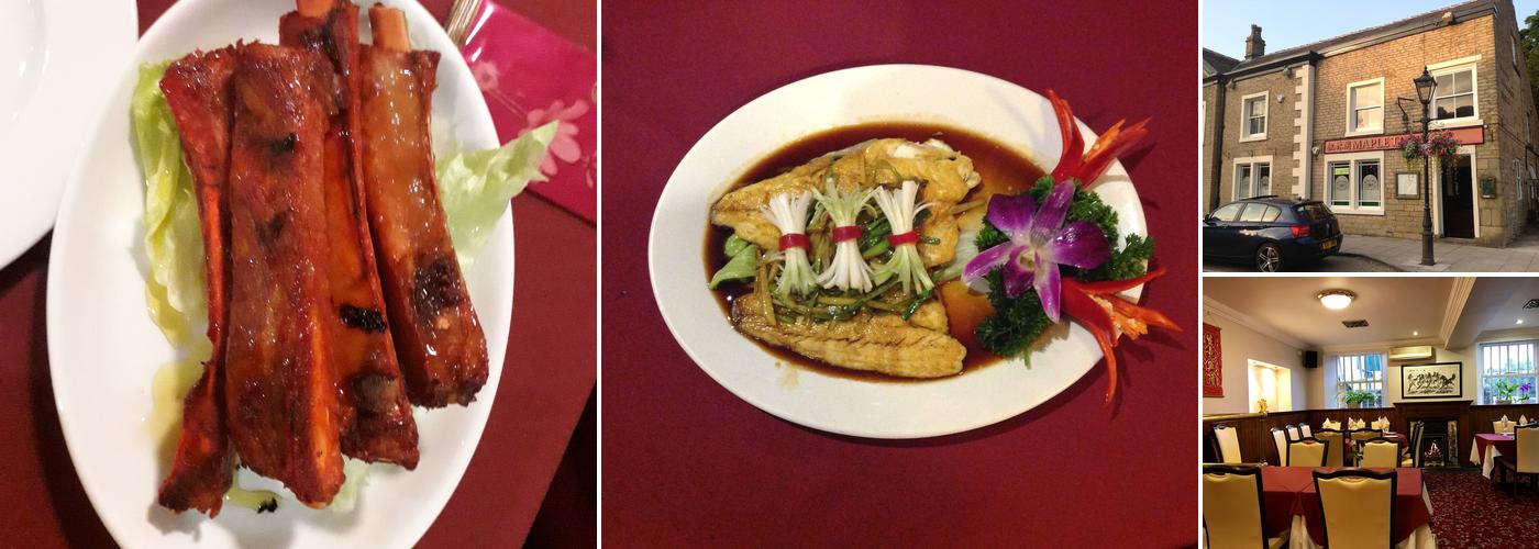 Maple Tree in Marple Bridge