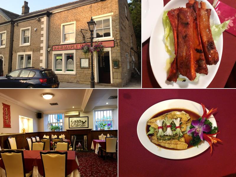 Maple Tree in Marple Bridge