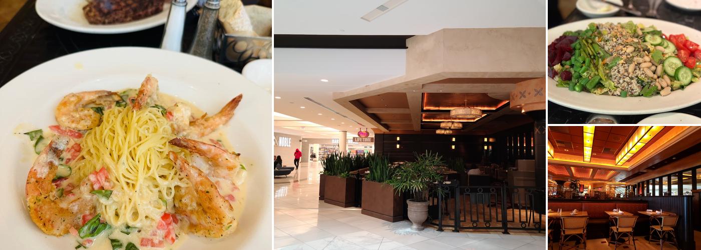 The Cheesecake Factory