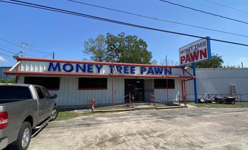 Money Tree Pawn