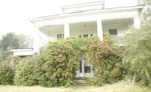 United States Postal Service Cameron