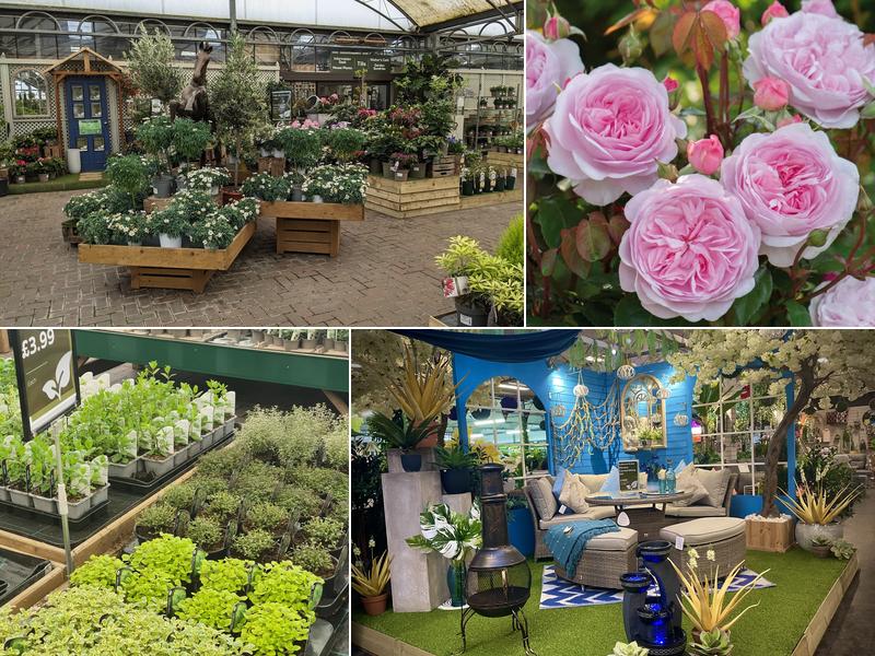 Langlands Garden Centre