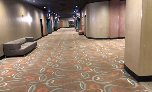 AMC DINE-IN Webb Gin 11