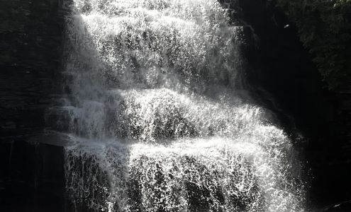 United States Postal Service