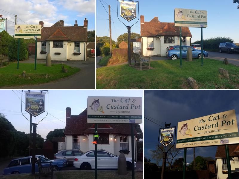 The Cat & Custard Pot