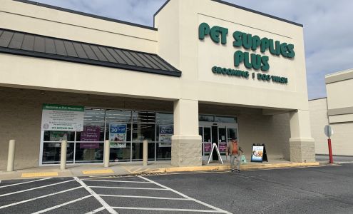 Pet Supplies Plus Taylors