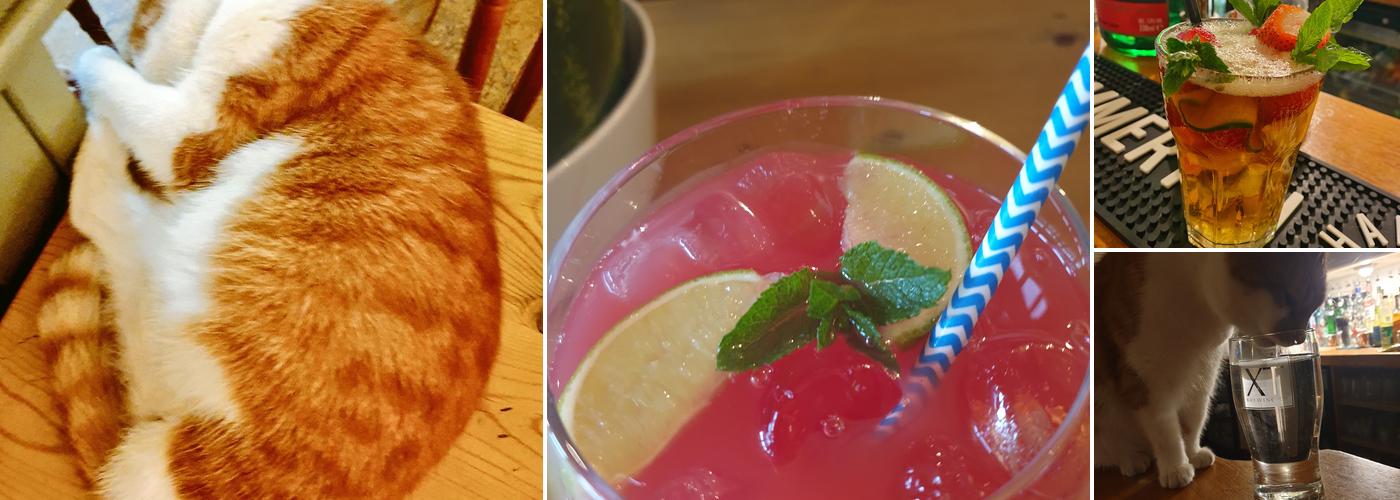 The Charlotte Despard