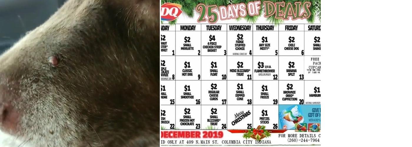 Dairy Queen Grill & Chill Menu