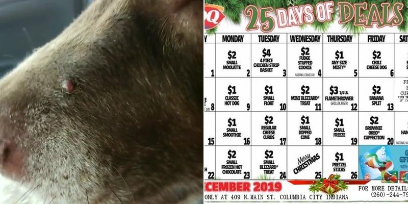 Dairy Queen Grill & Chill Menu