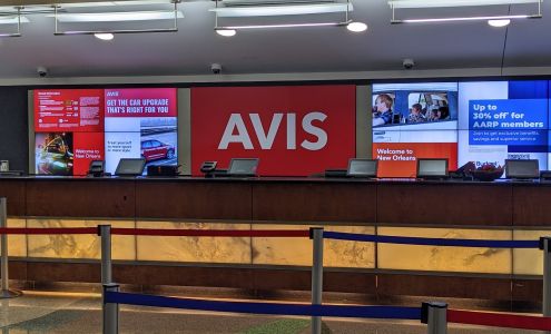 Avis Car Rental