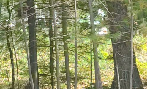 United States Postal Service