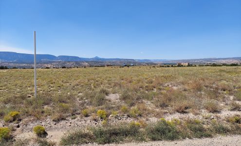 United States Postal Service Medanales