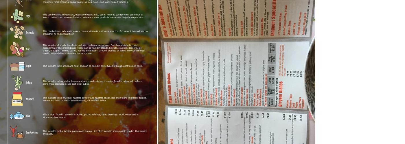 Indian Spice Menu