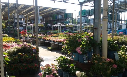 Garden Center at The Home Depot