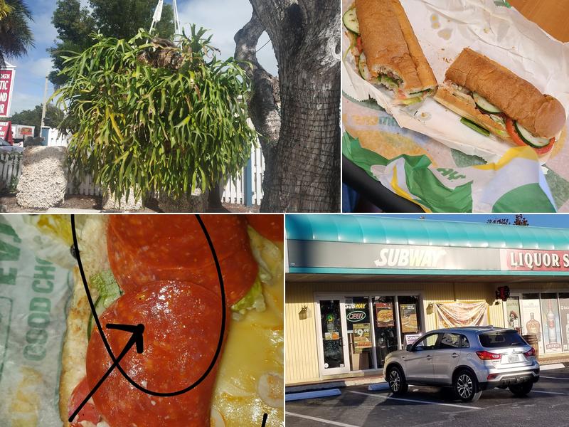 Subway 82685 Overseas Hwy Ste G, Islamorada