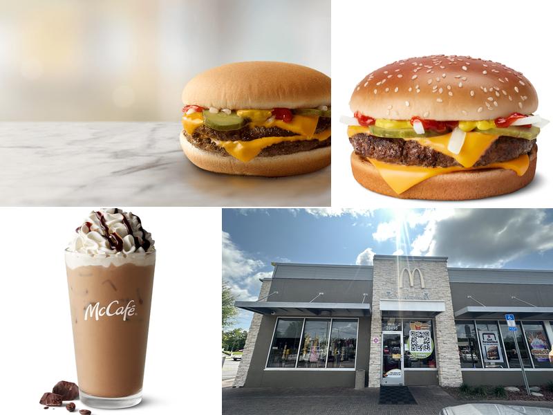 McDonald's 20495 W Central Ave, Blountstown