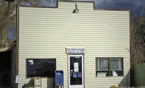 United States Postal Service Dinosaur