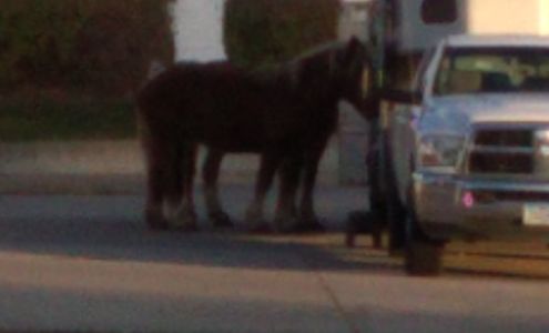 Conoco Mount Pleasant