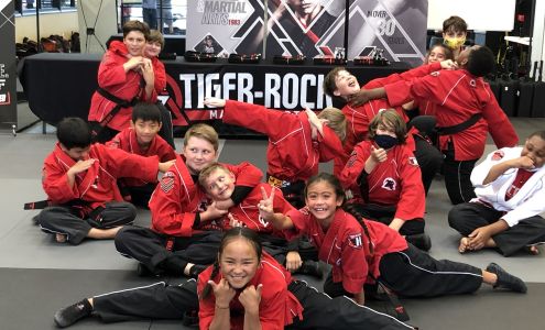 Tiger-Rock Martial Arts