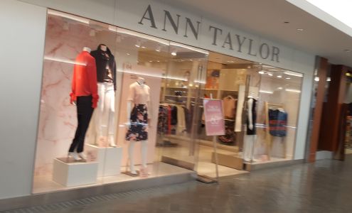 Ann Taylor