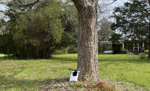 United States Postal Service