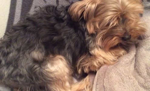 United States Postal Service