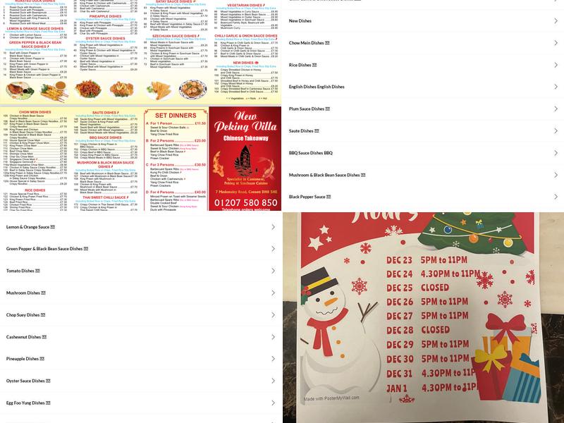 New Peking Villa Menu