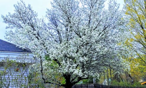 United States Postal Service