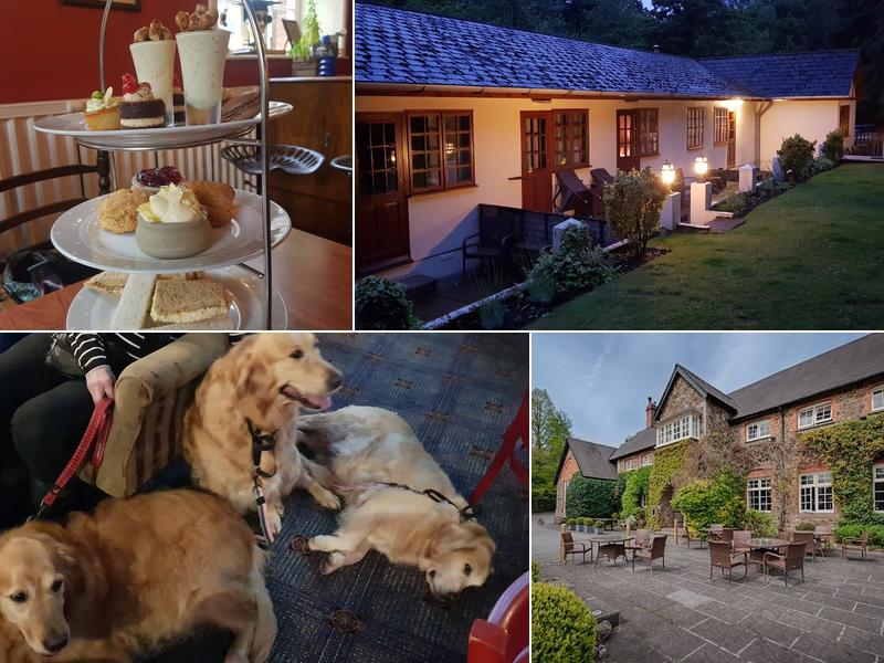 The Edgemoor Hotel Dartmoor