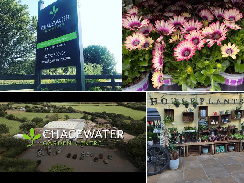 Chacewater Garden Centre
