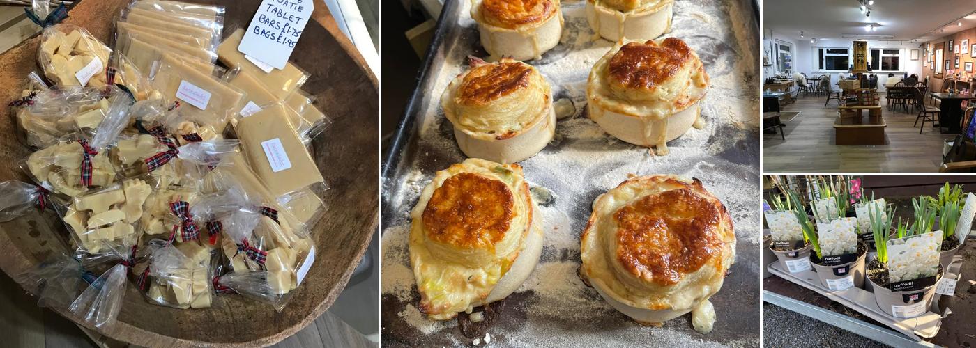 Jaggy Thistle Food Stop