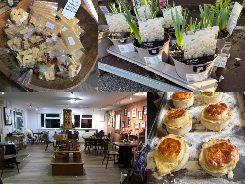 Jaggy Thistle Food Stop