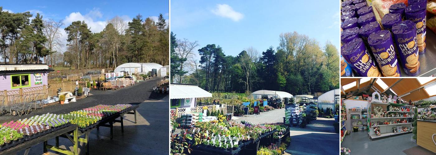 Montgomery Nurseries & Garden Centre