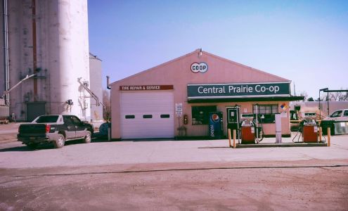 Partridge - Central Prairie Co-op Partridge