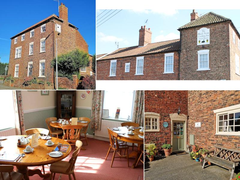 Black Swan Guest House