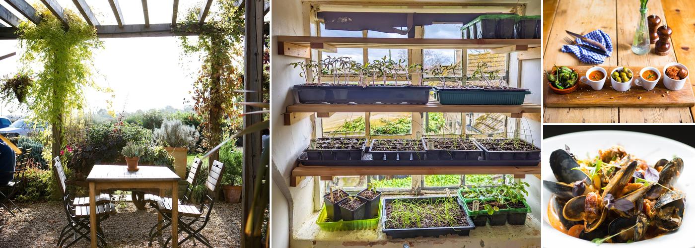 The Olive Branch Country Inn, Rutland