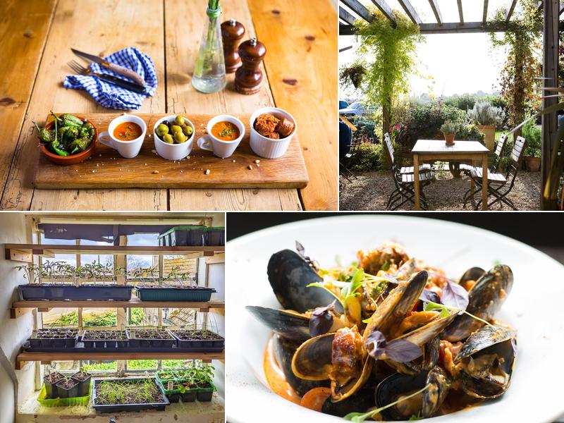 The Olive Branch Country Inn, Rutland