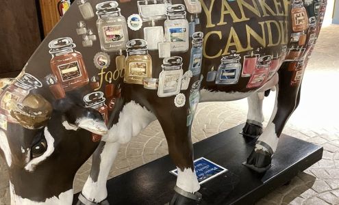 Yankee Discount Oil Northampton