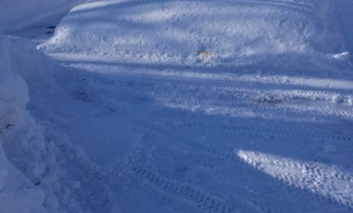 Bill's Standard Services